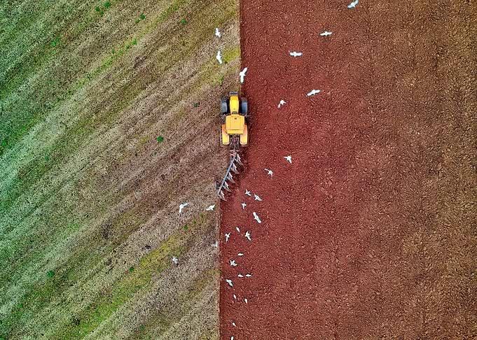 fields and machines