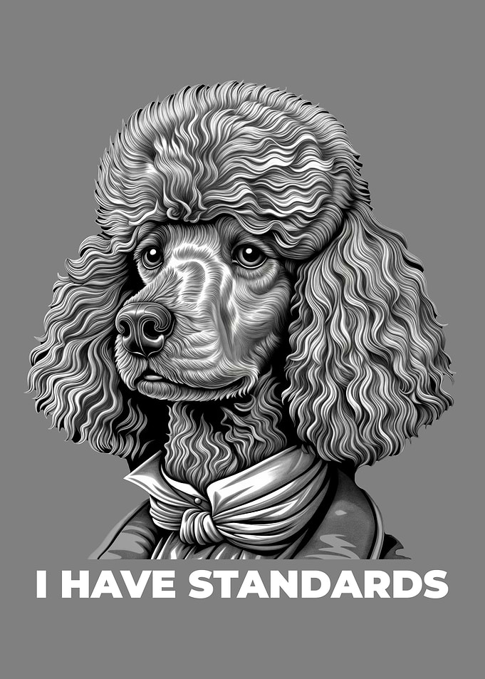 Poodle Dog I Have