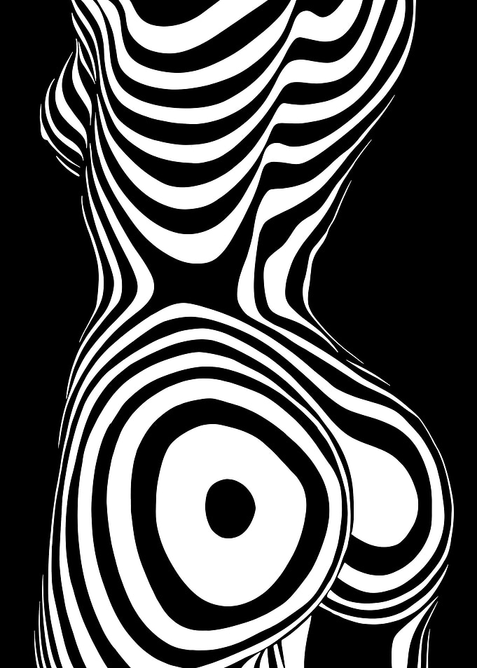 Zebra style