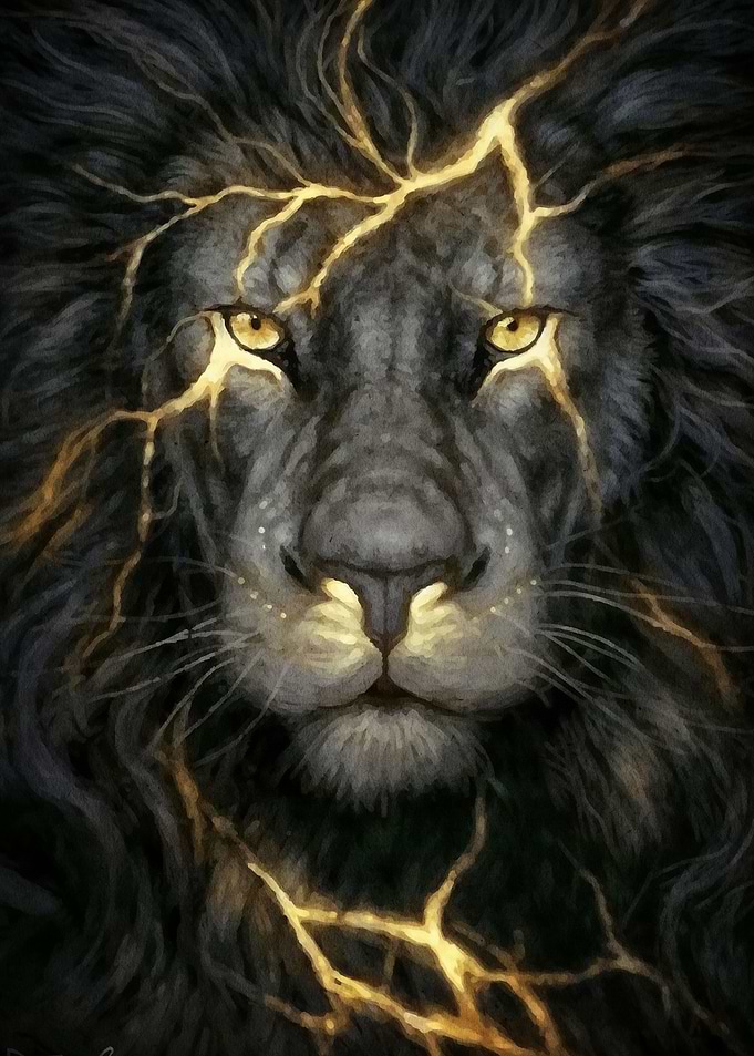 Black and Gold Lions