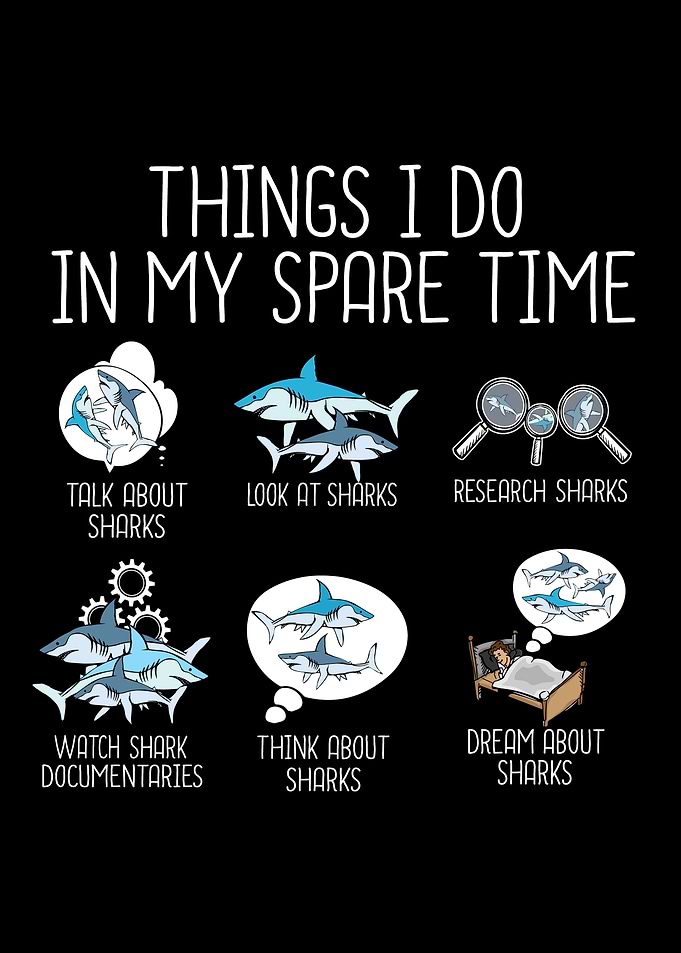 Funny Shark Lover Gift Kid