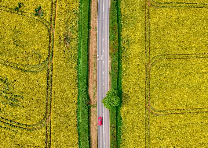 nature fields road