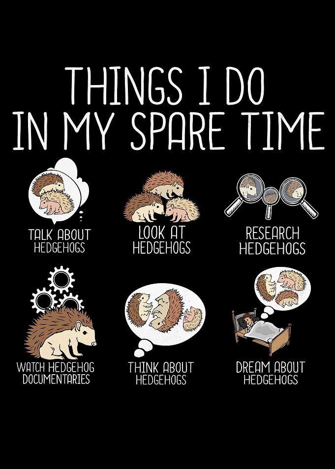 Funny Hedgehog Lover Gift