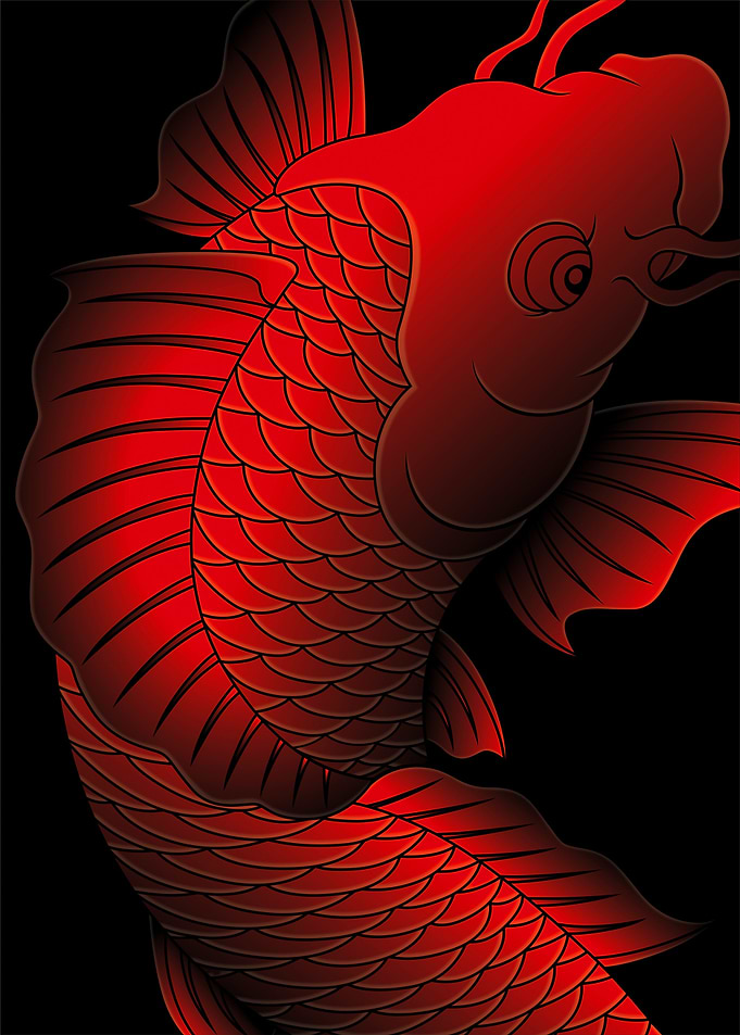 Koi Fish
