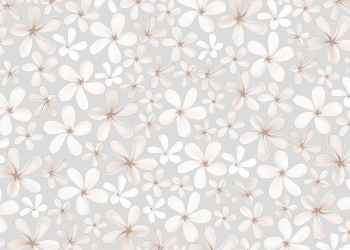 Frangipani Flower Dream 1