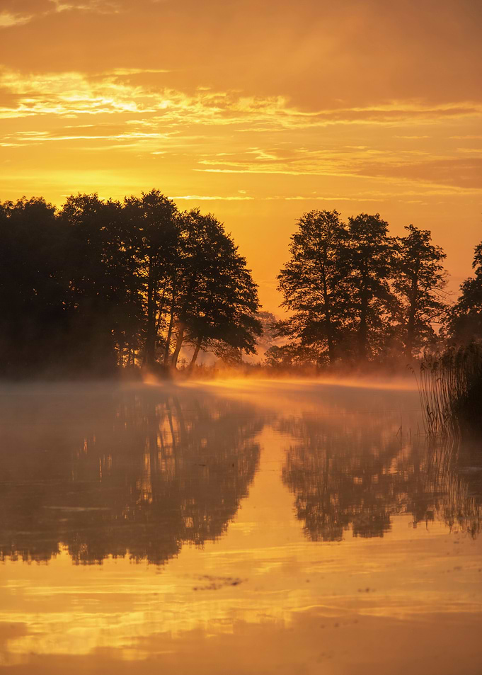 Foggy morning