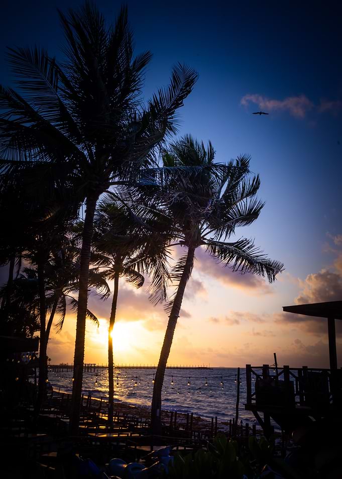Morning Playa Del Carmen