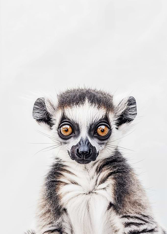 Cute Baby Lemur