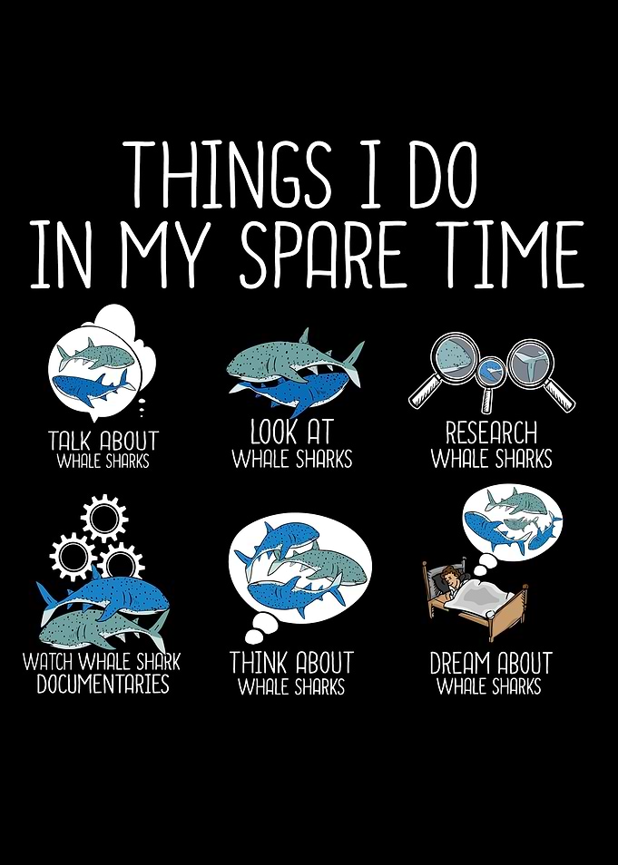 Funny Whale Shark Gift