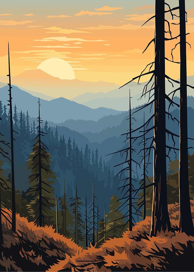 Forest Conservation