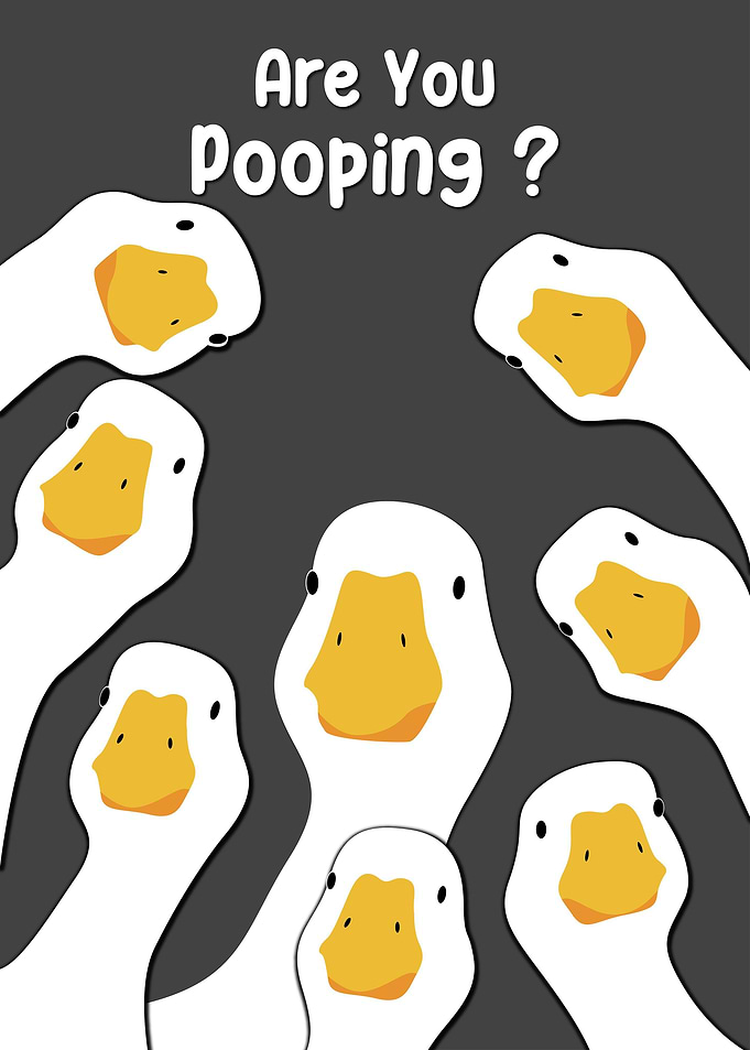 Funny Duck Animals