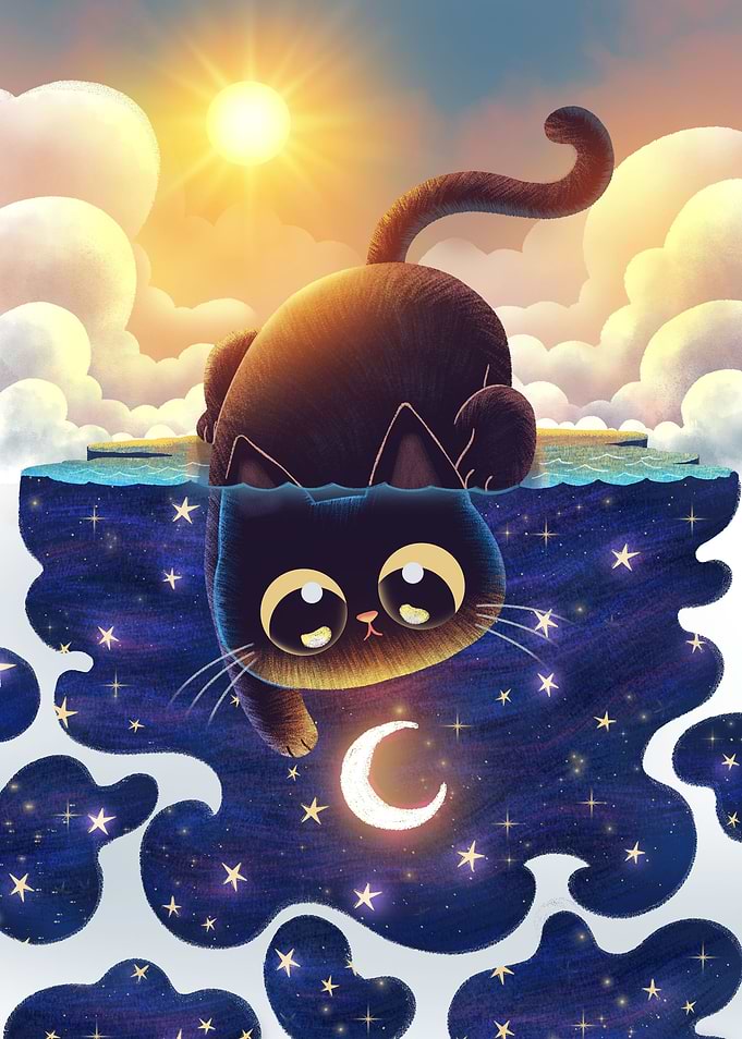 Black cat day and night