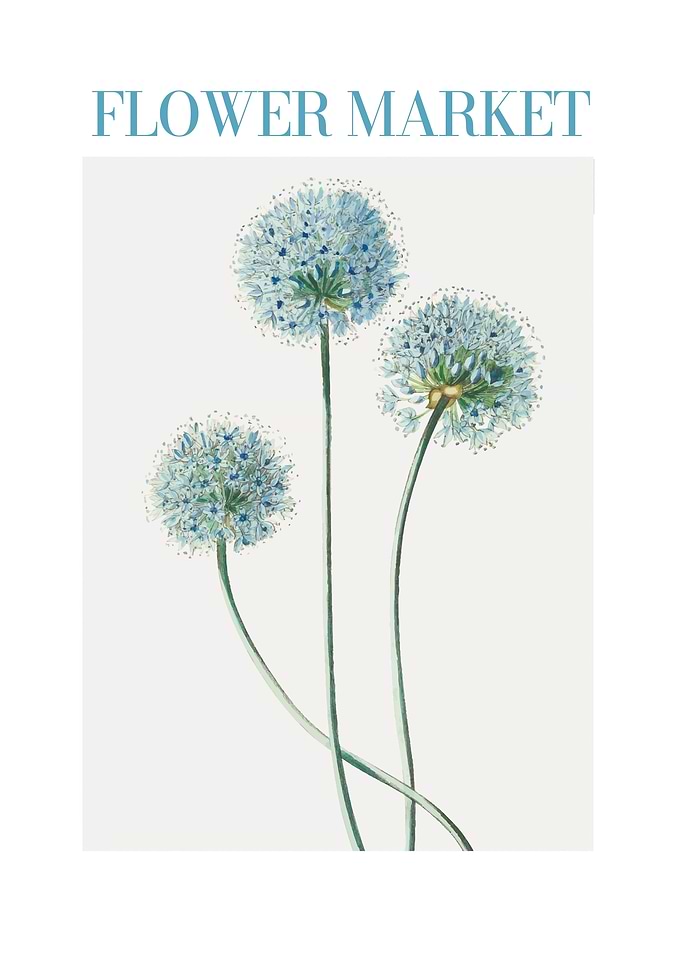 Flower Market Dandelion