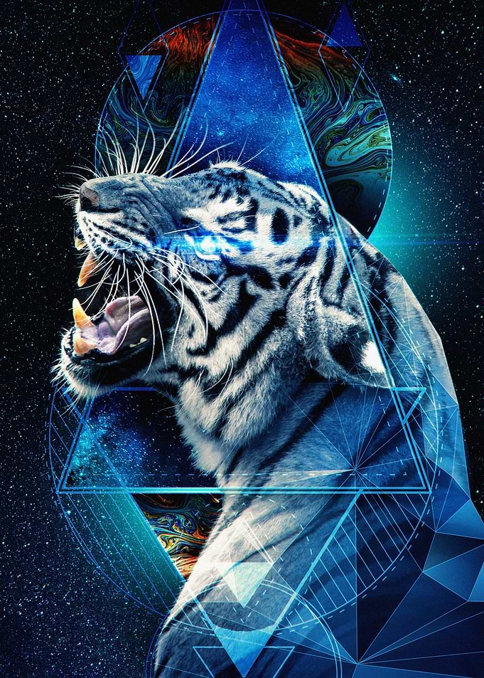 Tiger Space Art