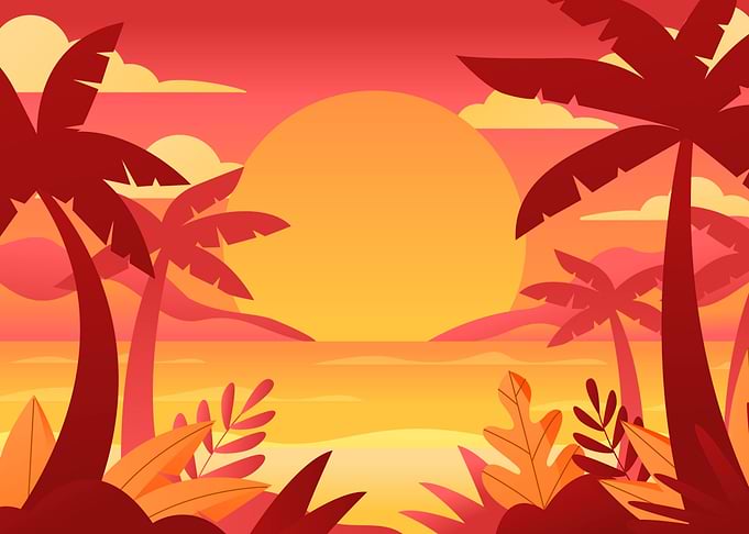 Coastal Paradise Vibes