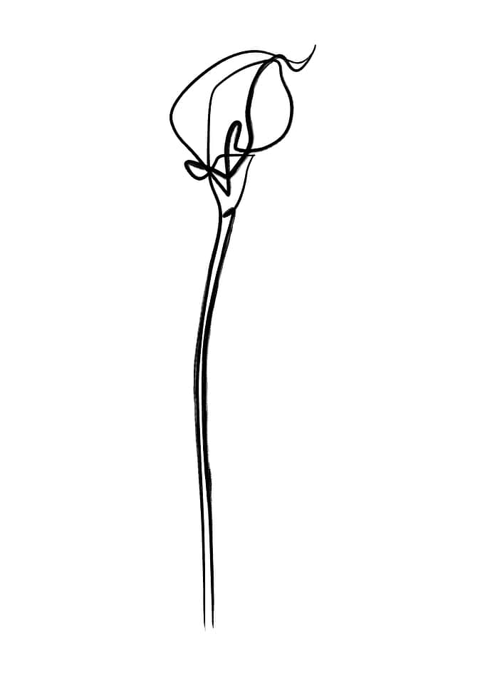 Simple Flower Line Art