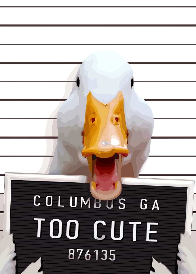 Mafia Duck