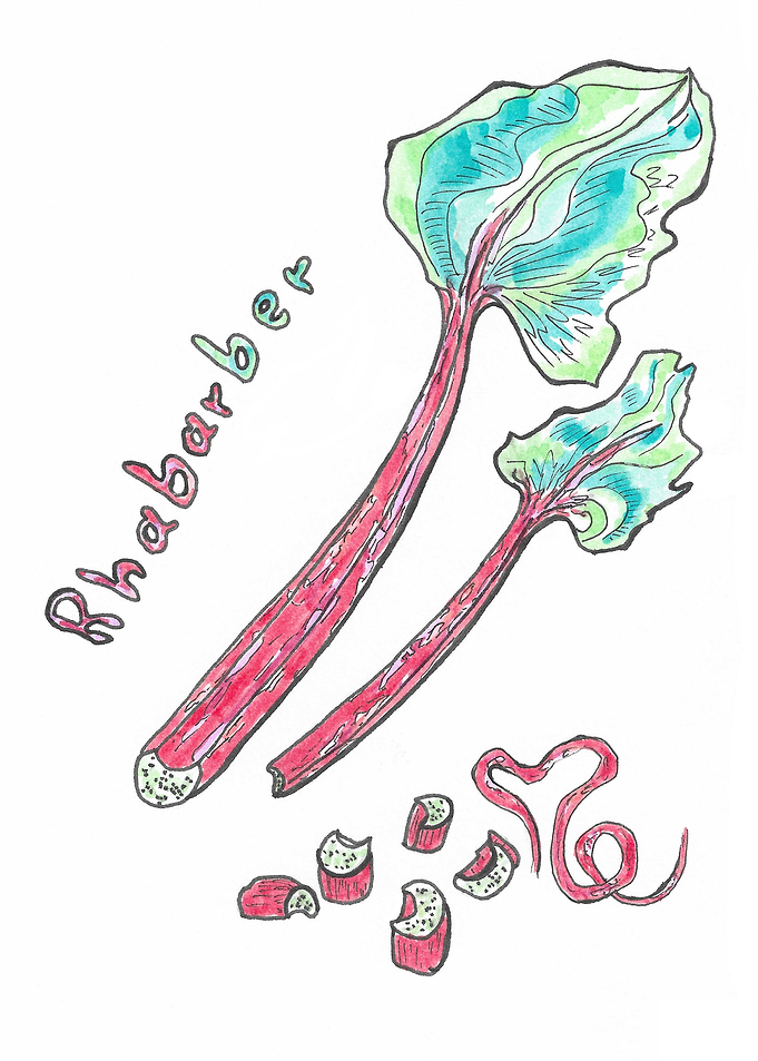 Colorfull Rhabarber