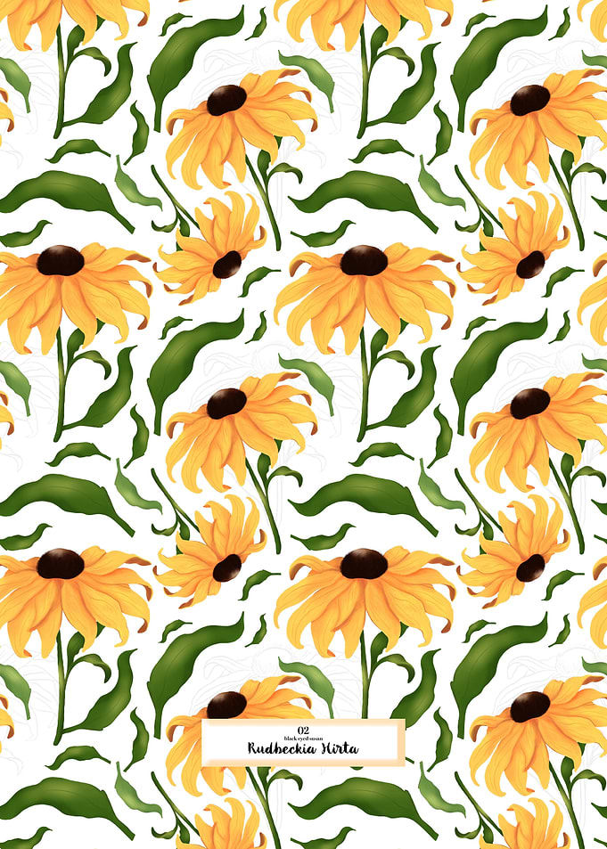 Blooming Yellow Wildflower
