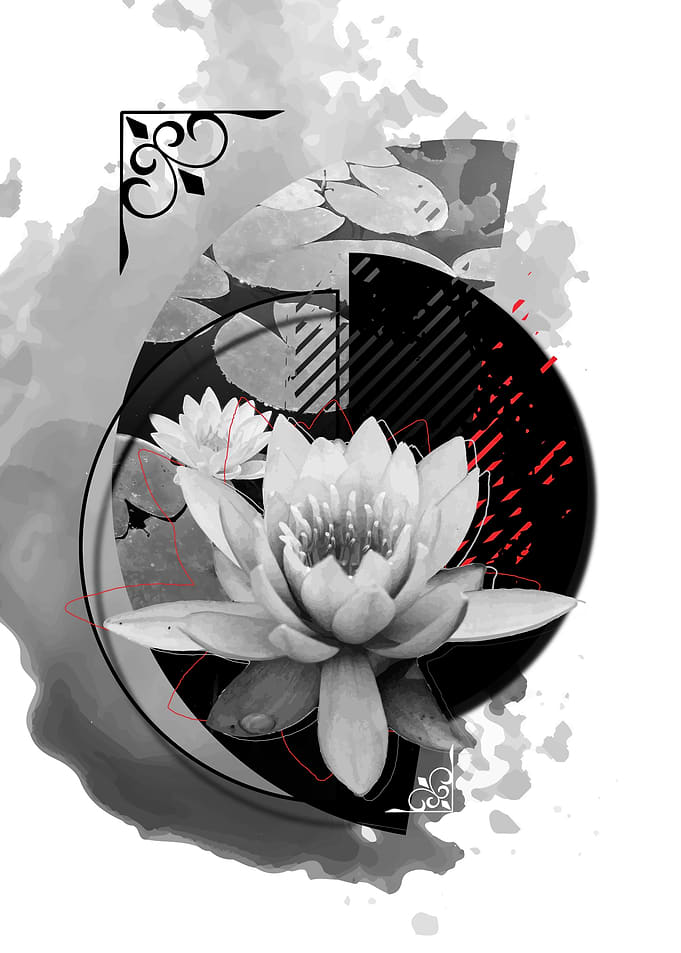 Geo Lilly