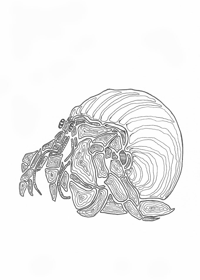 Little Hermitcrab