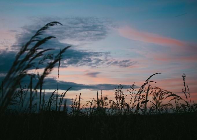 Whispering Grasses