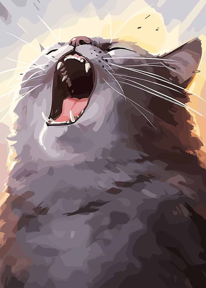 Angry Cat