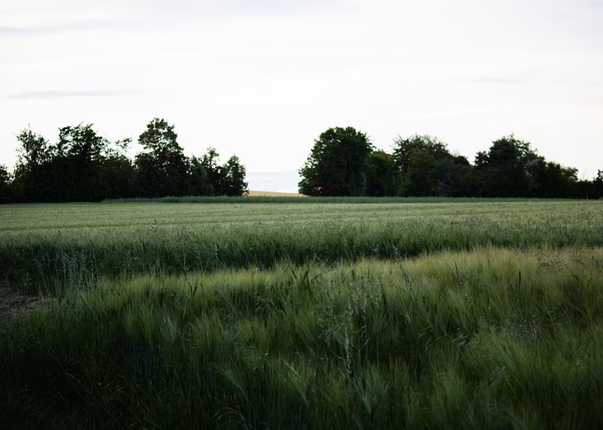 Countryside Calm