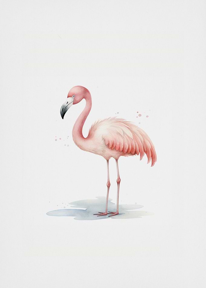 flamigo pink watercolor