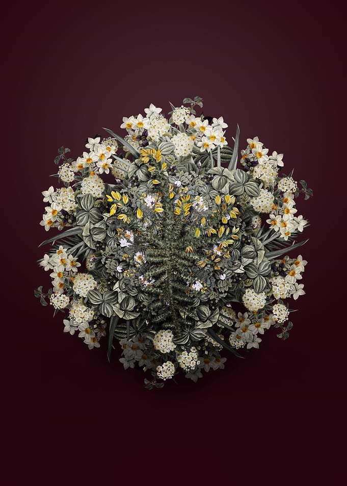 Yellow Gorse Flower Wreath