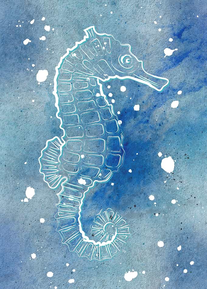 Blue Seahorse