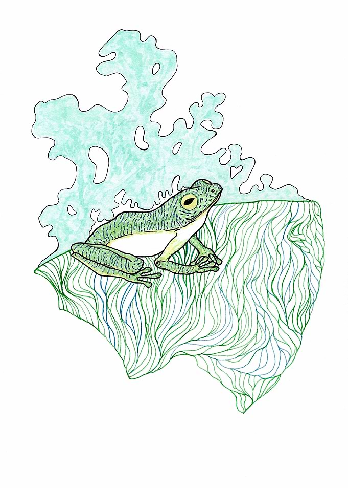 Froggy 3 chilling on leaf