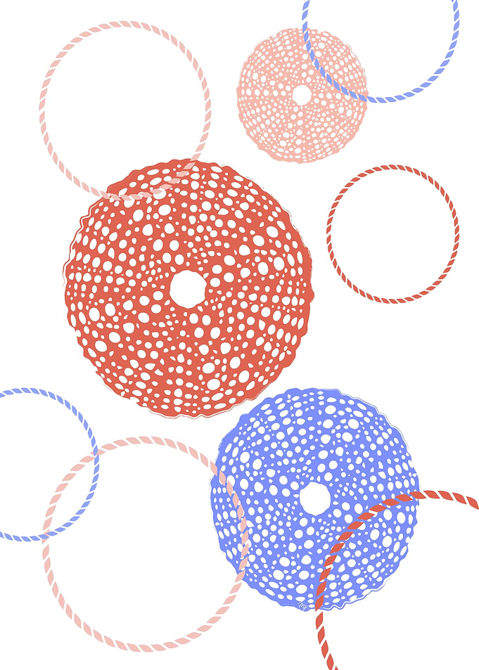 Read Sea Urchins