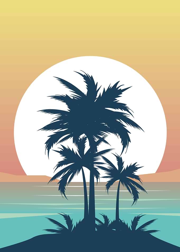 Beautiful Tropical Design