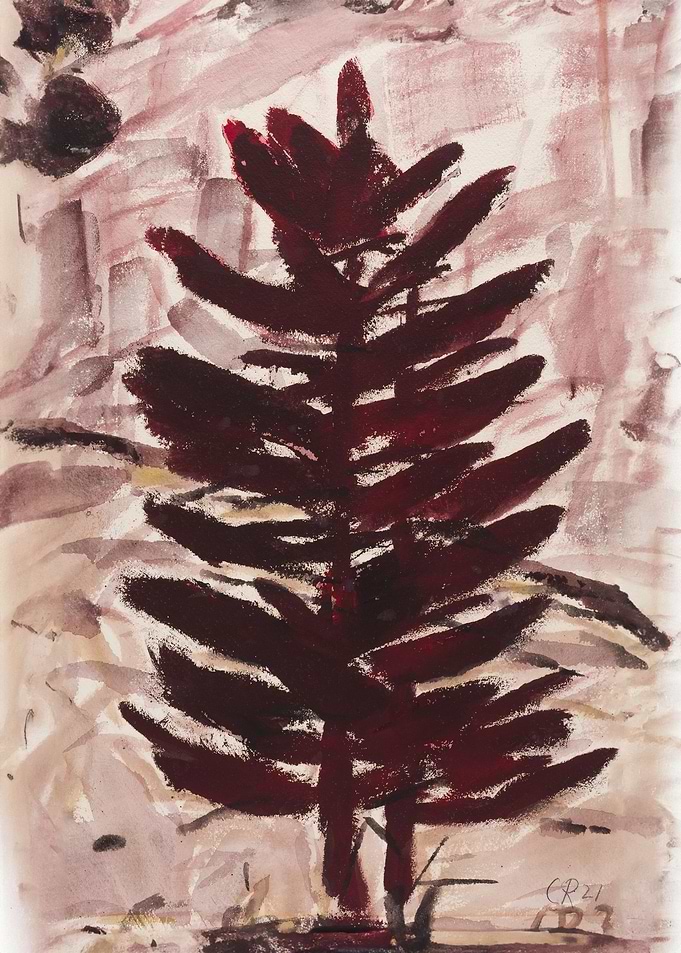 Red brown fir