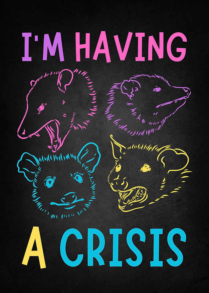 Possum Meme Crisis