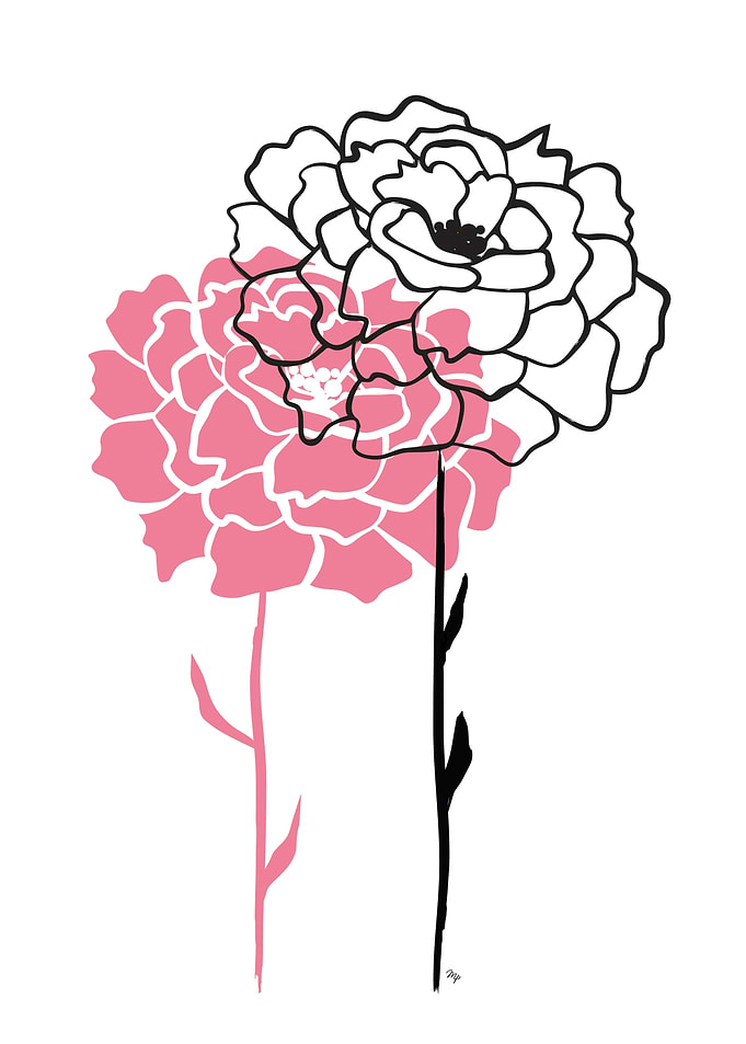 Pink and black peonies