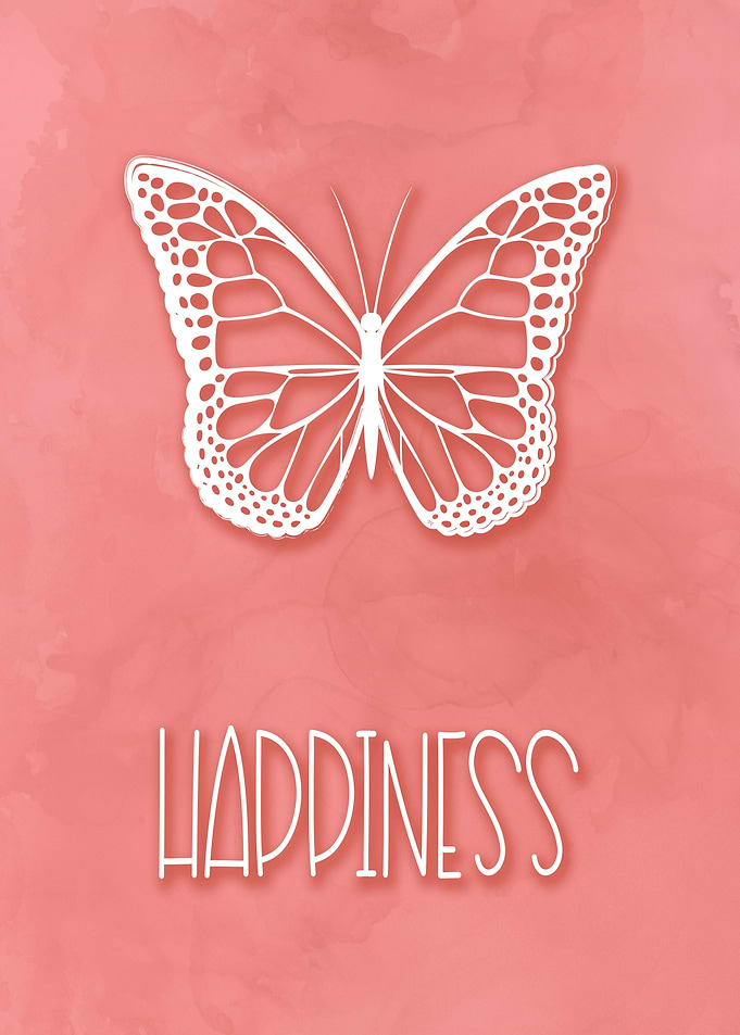Happiness Butterfly Quote