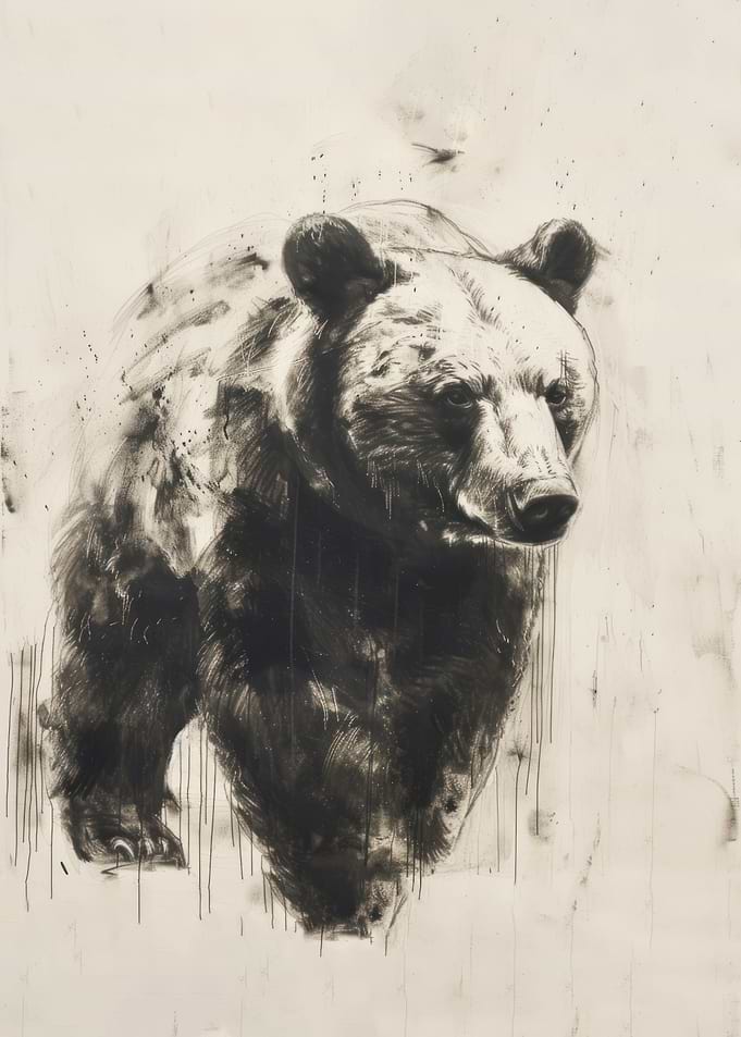 Bear In Charcoal Art