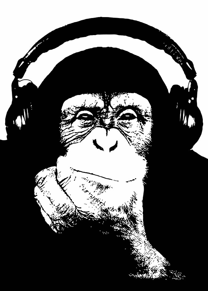 Ape Monkey Music