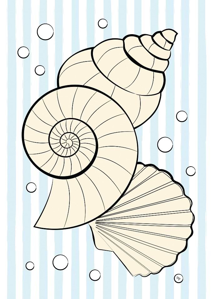Yellow sea shells