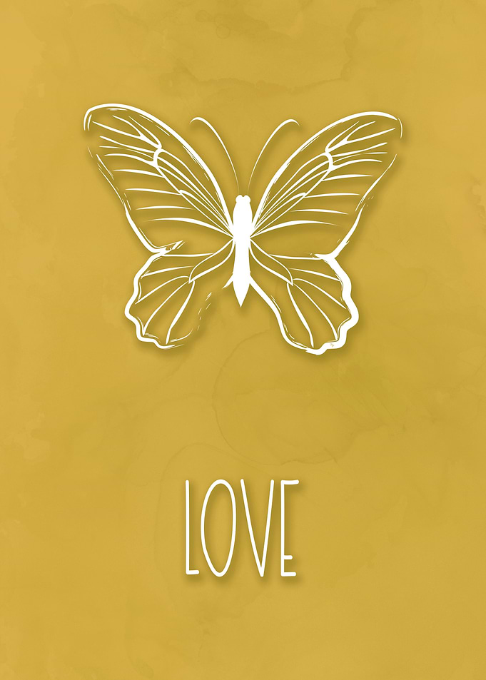 Love Butterfly Quote Set