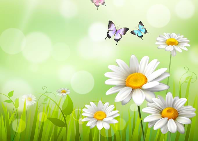 Butterflies and Flowers