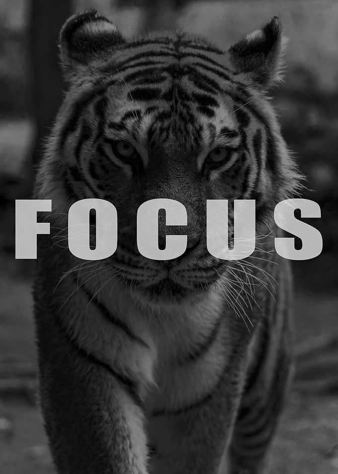 Focus