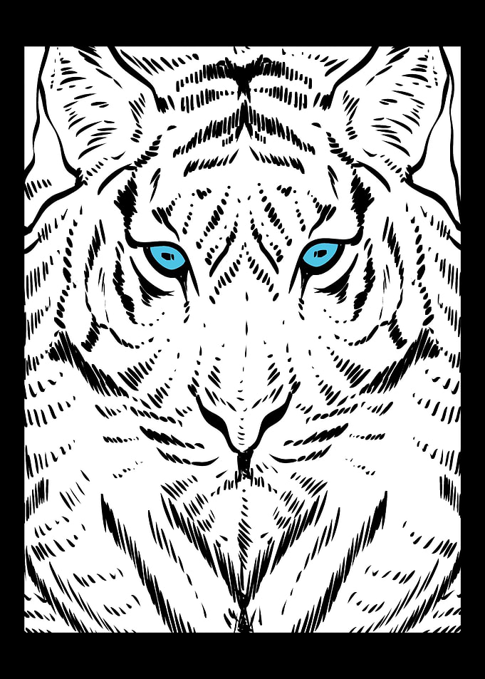 Tiger Face Wildlife Photog