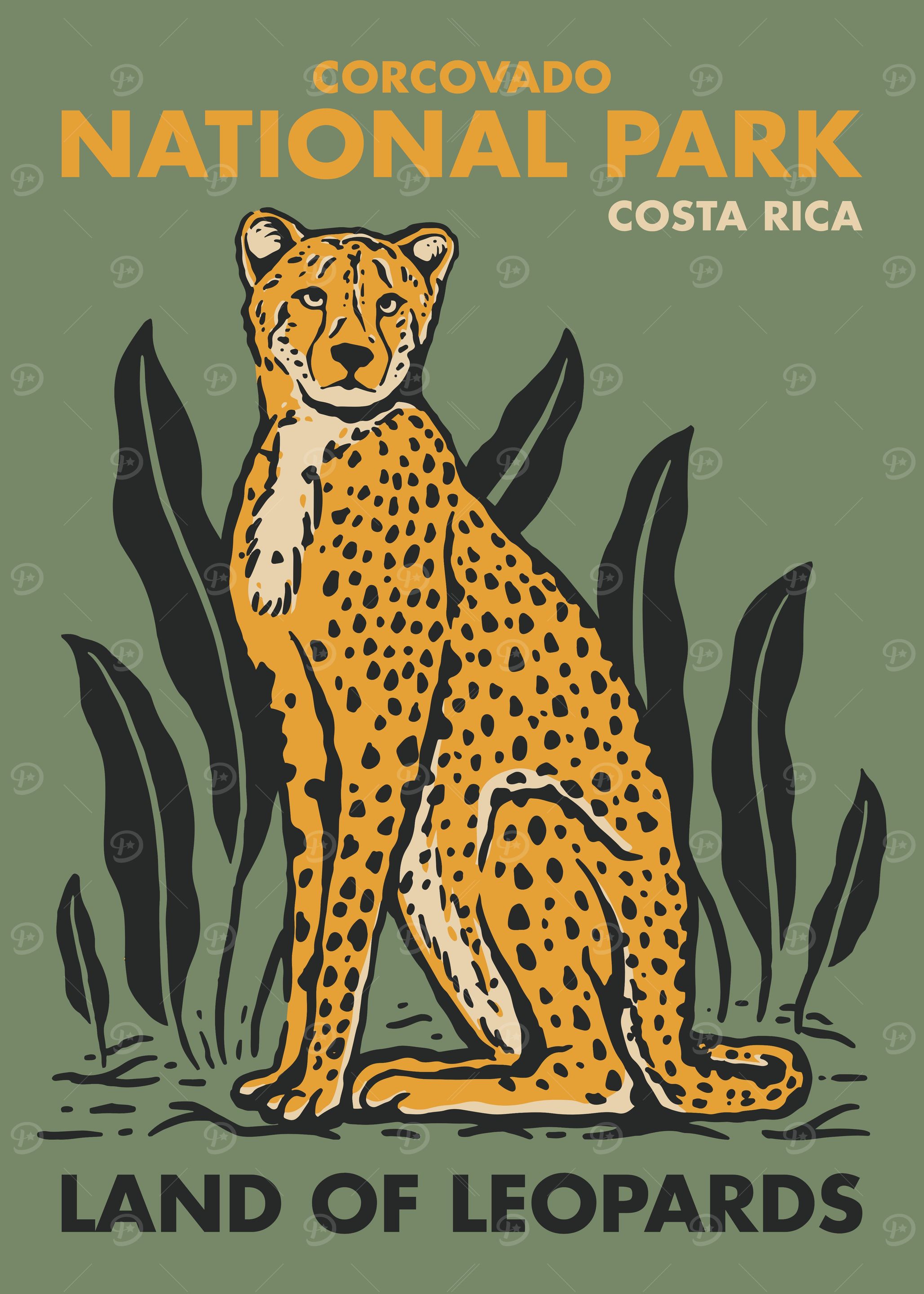 Costa Rica Cheetah Park