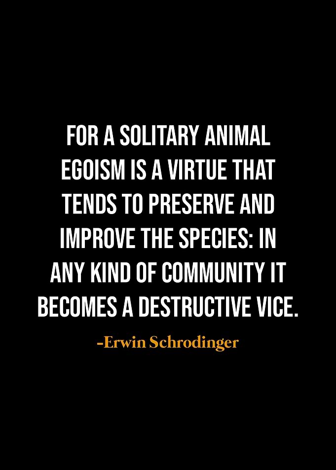 Erwin Schrodinger quotes