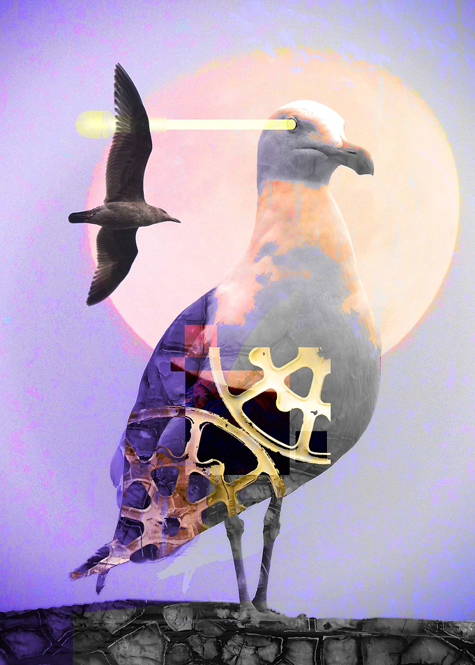 Modern Seagull