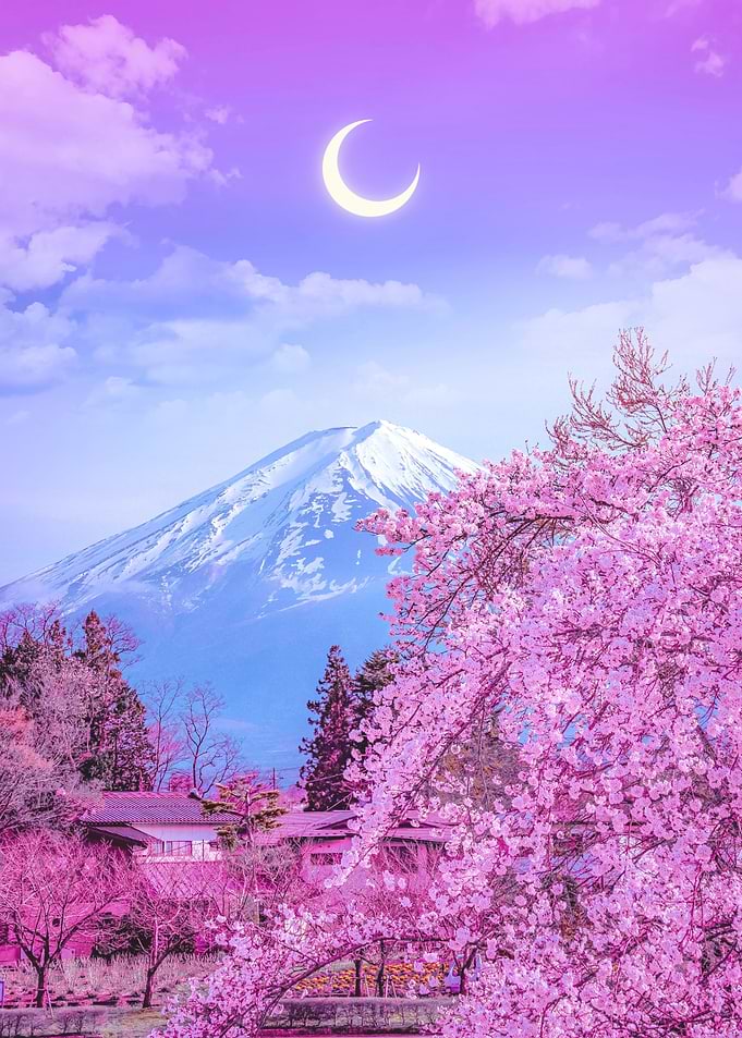 Fuji Pastel Cherry Blossom