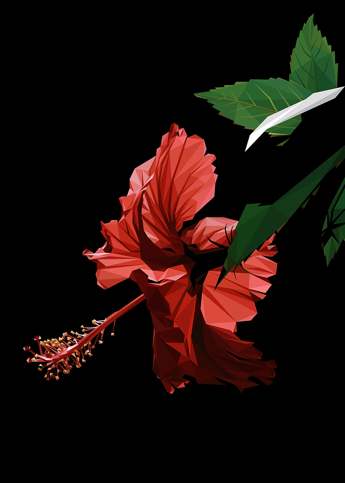 Red Hibiscus Low Poly